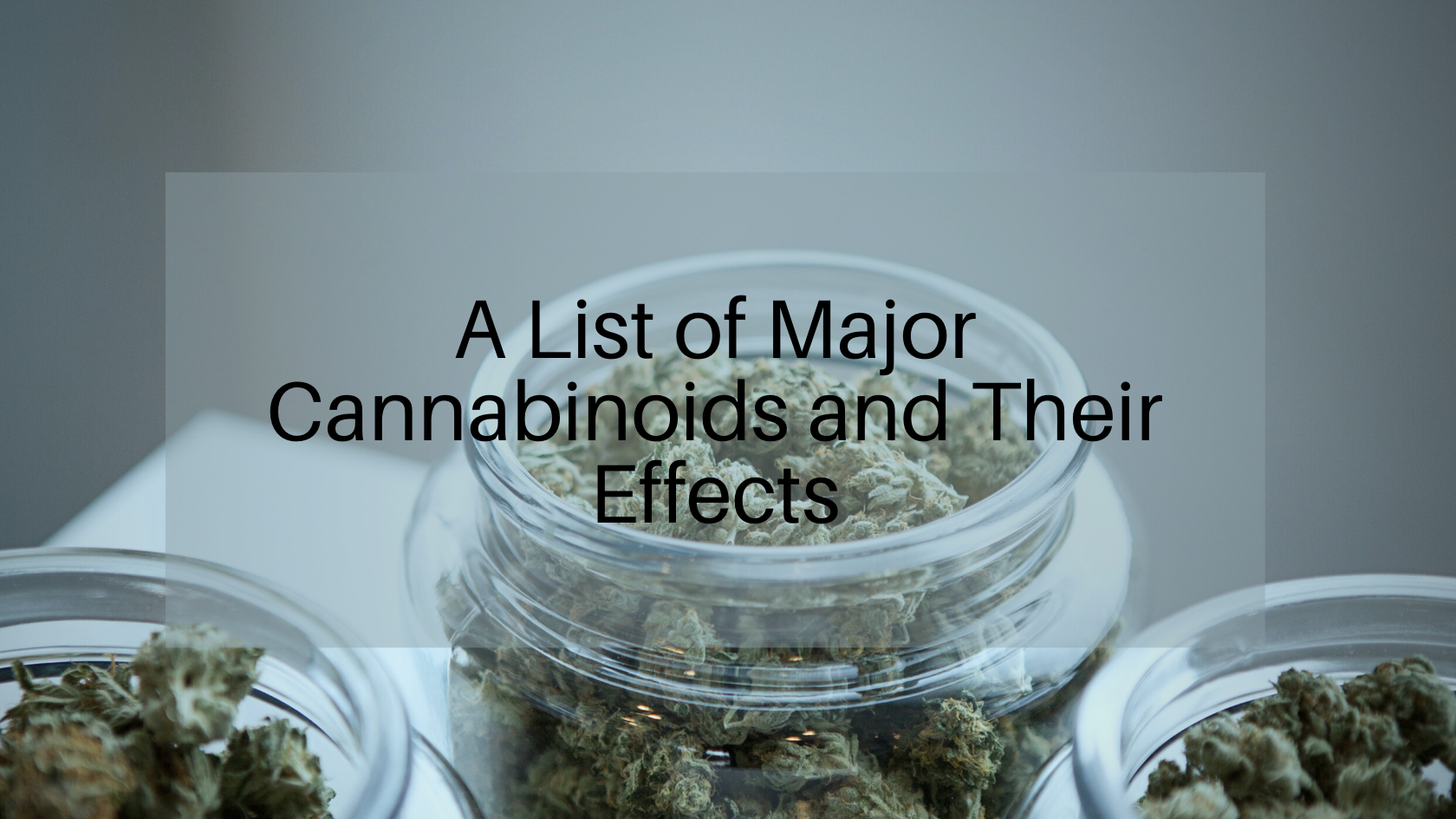 A List of Major Cannabinoids and Their Effects
